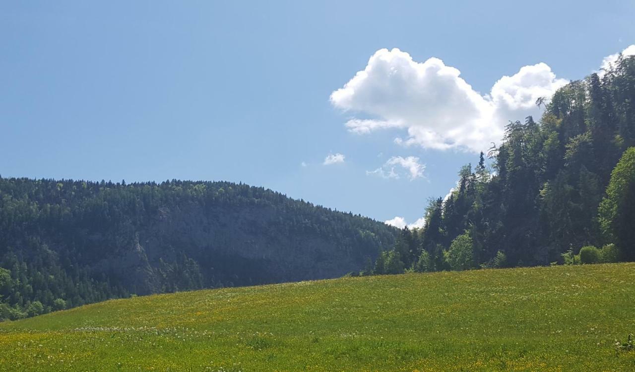 Lohnerlehen